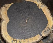 紫光檀——其貌不扬，却很有潜力的红木