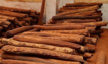 什么样的红木家具可以保值升值？